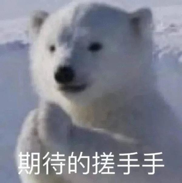 动图封面