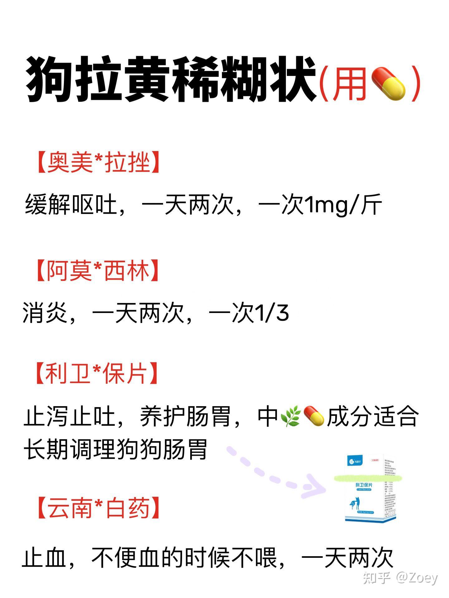 狗拉稀拉血#狗狗拉稀怎么办 - 知乎