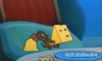 咋样才能让老鼠死掉 v2-de908bb68bf5850ea789f01fb02240ca_b.jpg