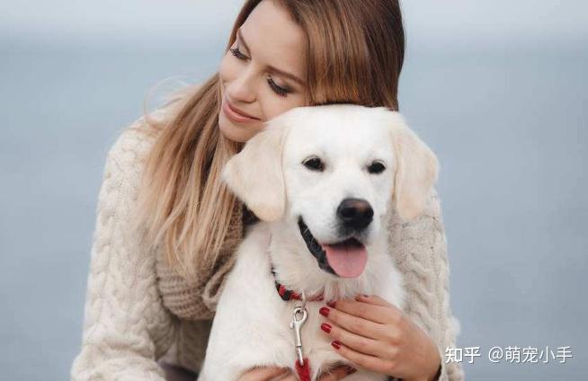 网友说：养狗后，这8个“副作用”太强，一般人承受不了 - 知乎