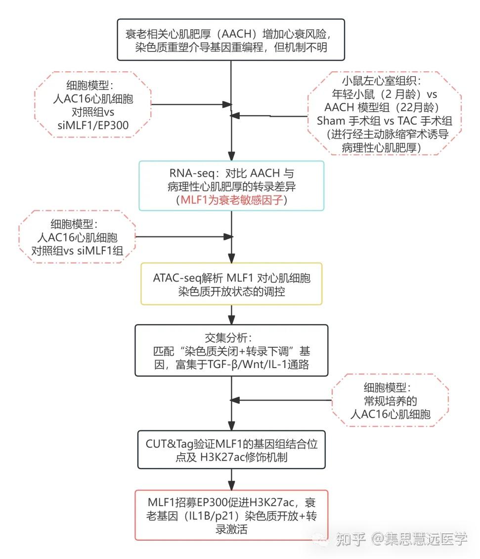 ATAC-seq多组学联用方案指南，解锁基因调控研究新维度！ - 知乎
