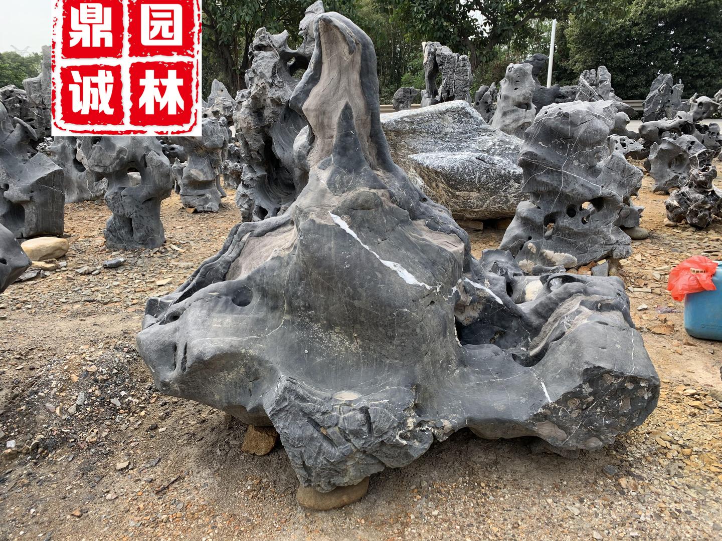 太湖石盛产于太湖地区，是一种玲珑剔透的观赏石- 知乎