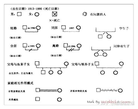 系谱图符号图片