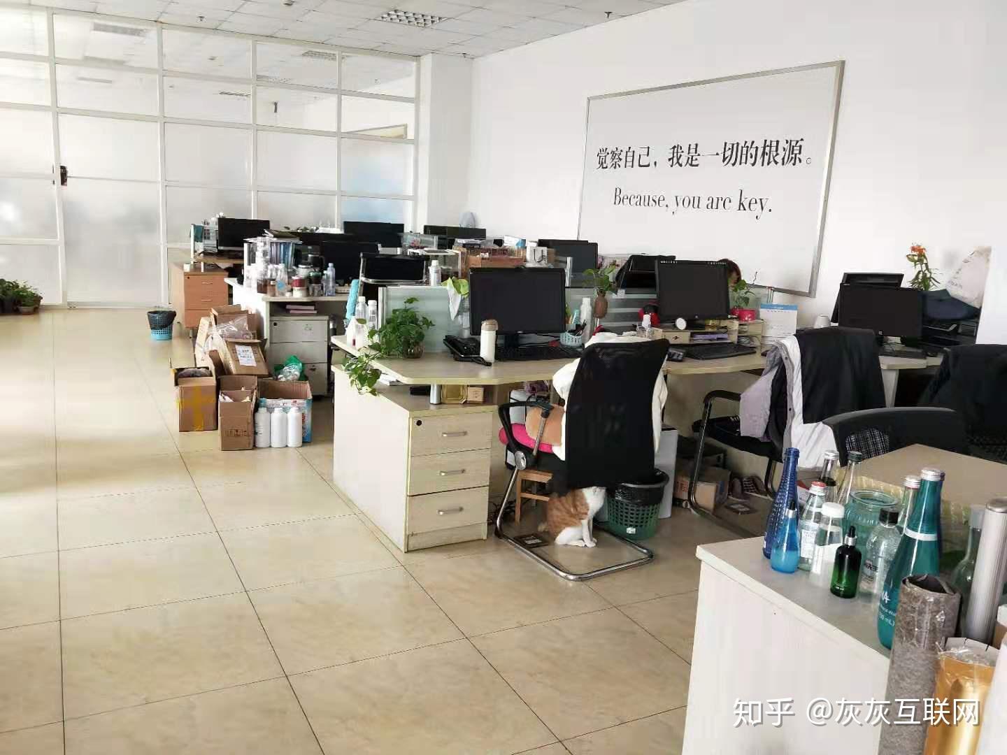 十万块创业项目怎么样啊(10万块创业能干什么项目)