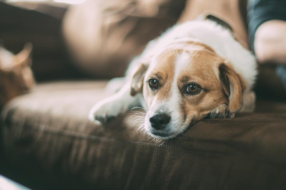v2-dee1a739d600197306d55f01502e394d_1440w.jpg?source=172ae18b