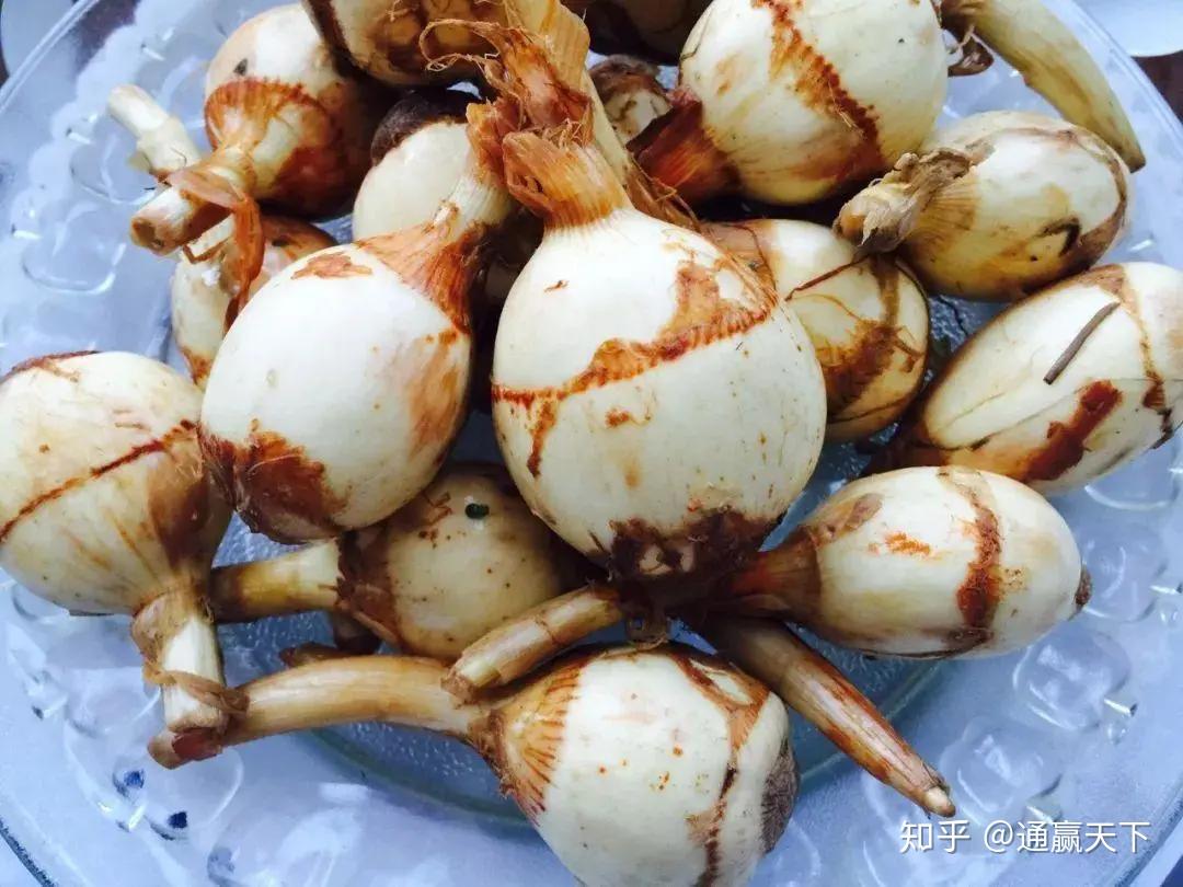 你知道茨菰吗?中国哪里的茨菰最好吃? - 知乎