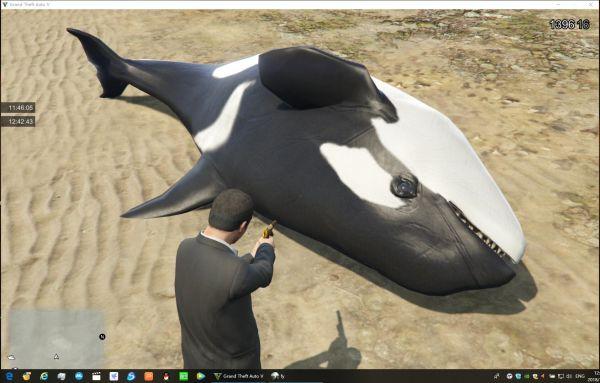 gta怎么买虎鲸
