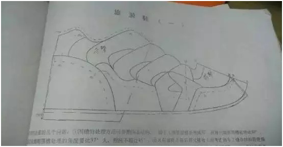 你知道的最冷的冷知识是什么?