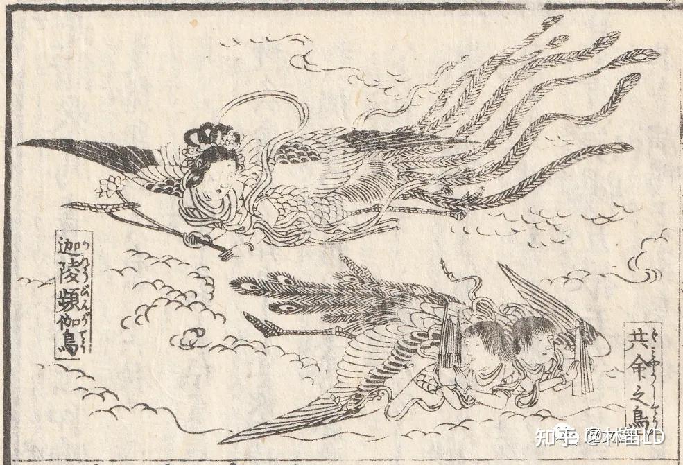神话生物——佛教传说中的妙音鸟与共命鸟 - 知乎