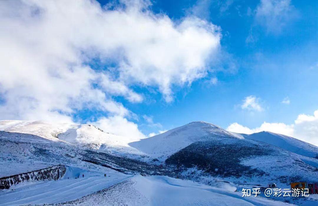 会泽大海草山雪景图片