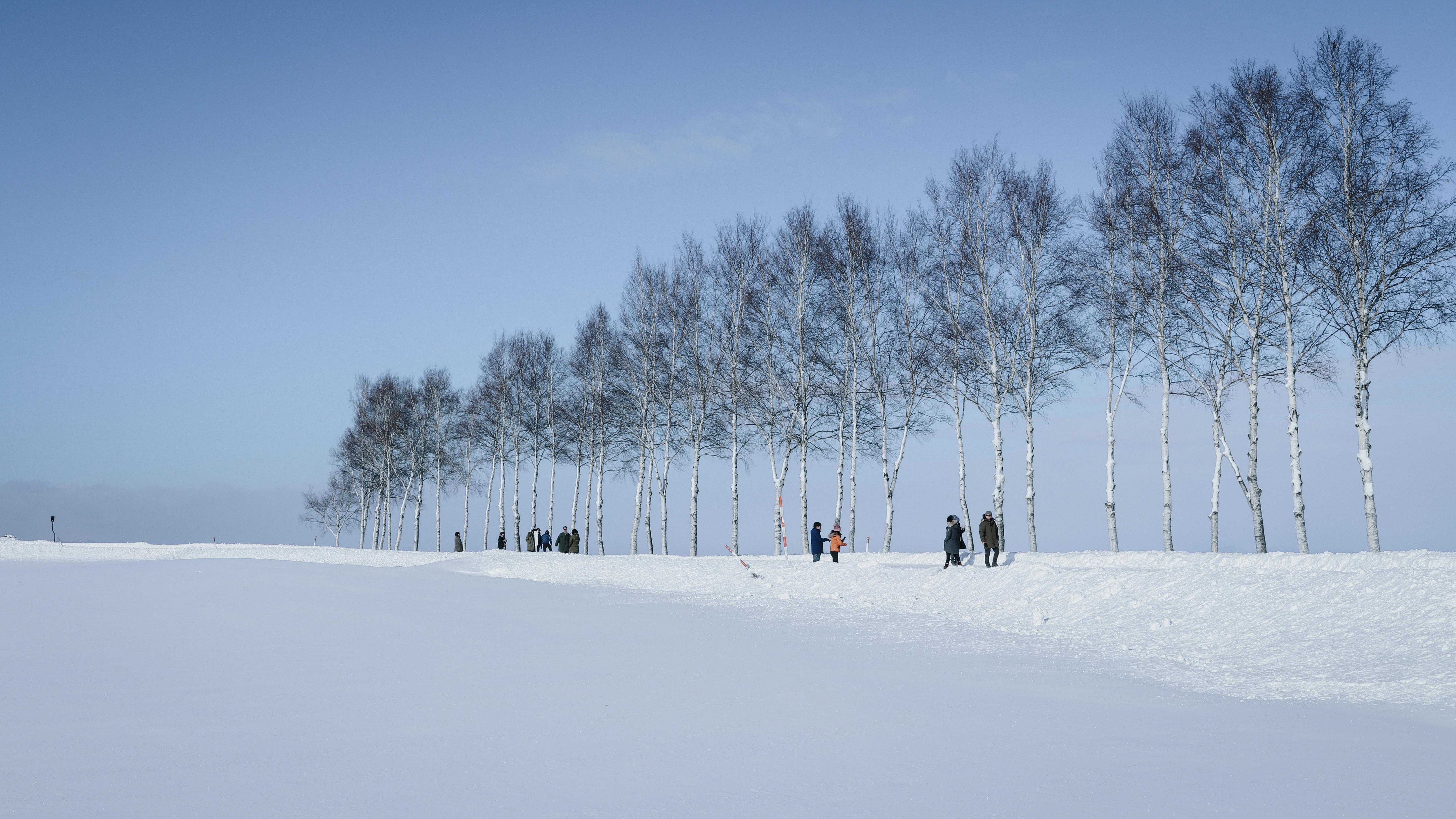 3,雪国北海道:适合冬季去