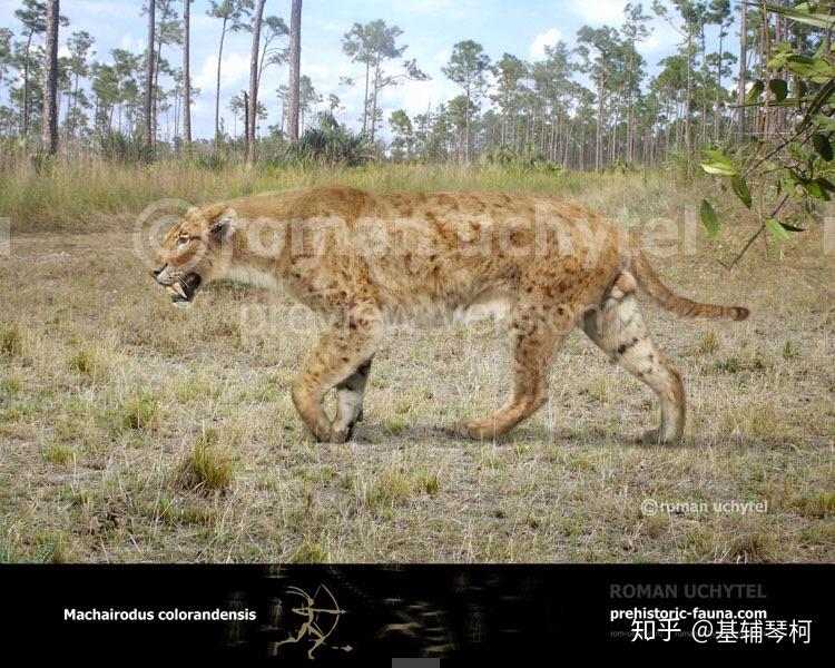 新生代巨獸猛獸與其他掠食者精簡名錄古獸爭鋒榜新近紀篇