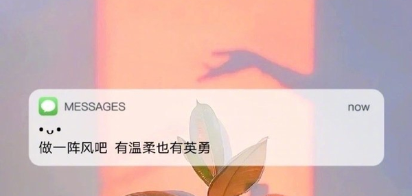 40条治愈文案(45条小众高级治愈置顶文案：(这次不一样）)
