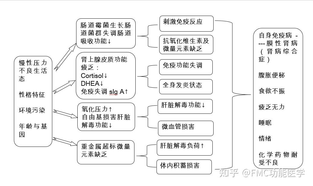 【案例分享】功能医学的诊疗思维模式解析 - 知乎