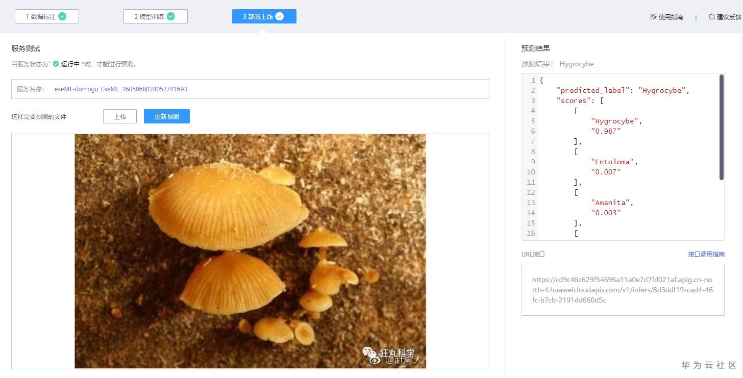 手把手教你使用ModelArts的自动学习识别毒蘑菇分类 手把手教你使用ModelArts的自动学习识别毒蘑菇分类