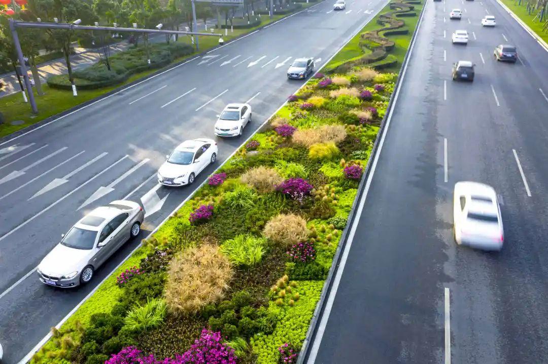 图据成都天投微信公众号为创造多层次景观,打造真正的森林大道项目