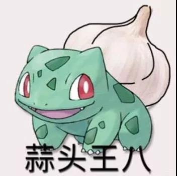 为什么叫大蒜名字 v2-df7798eb99ab73706c44a86d593beeee_b.jpg