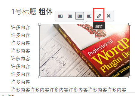 WordPress新手入门教程39 WordPress新手入门教程