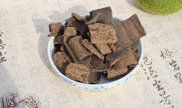 一起感受杜仲的魅力,杜仲全身都是宝! - 知乎