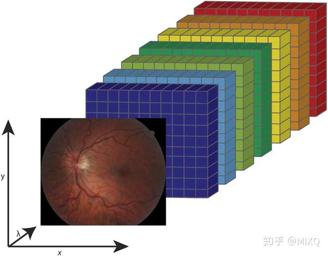 然后将二维图像切片按波长堆叠,形成视网膜高光谱超立方体