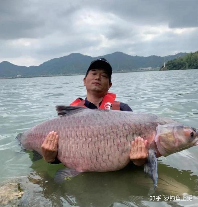 一人一竿一梦:中国顶级钓鱼网红邓刚的传奇故事 - 知乎