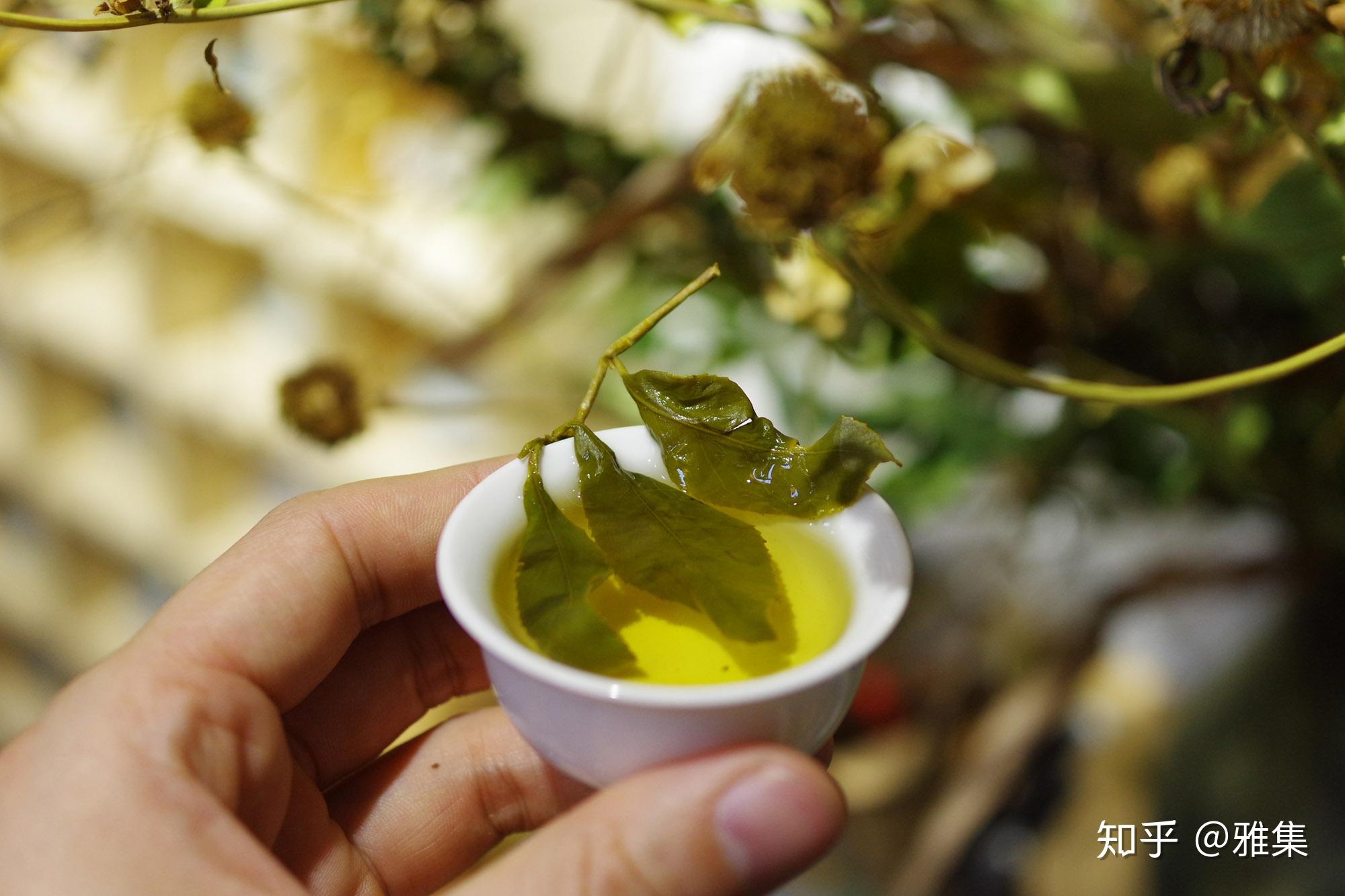 从海拔认识台湾茶.什么是台湾高山茶,高冷茶.