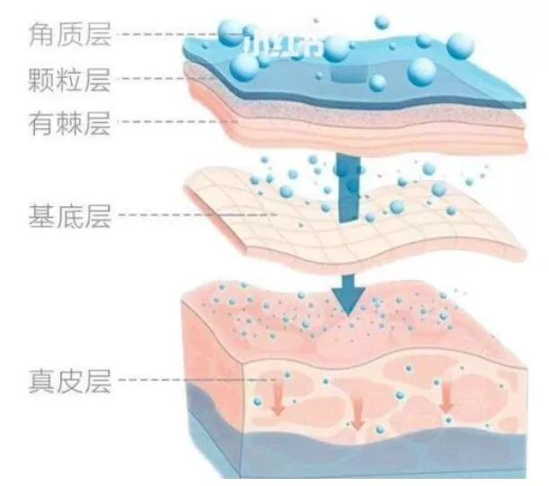 中科西部干细胞研究院该不该为干细胞抗衰老花钱