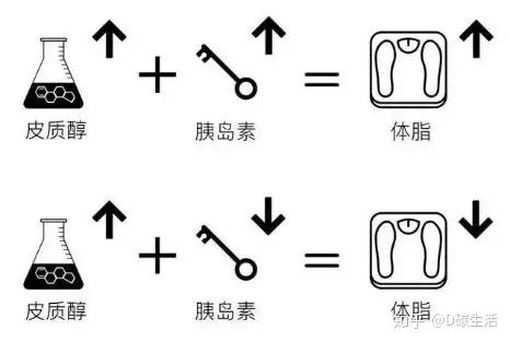 v2-df9c7f24a90e734beeeddfb0c8b7271e_r.jpg