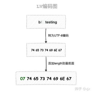 Tag Length Value Encoding Protocol Buffers编码 - 知乎