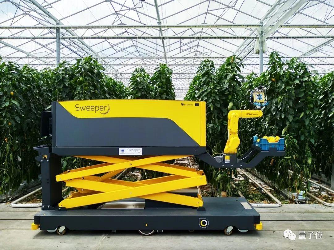 不怕辣眼睛这个机器人用脸来摘辣椒