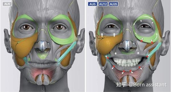案例分享 | 空塌型印第安纹带来的憔悴感,看看她是怎么改善的! - 知乎