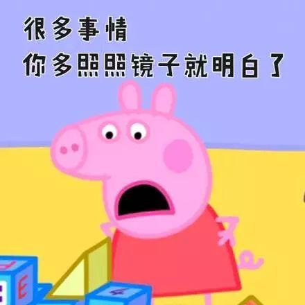 v2-dfdd2373da956b50a4a1d40255dc51c6_r.jpg