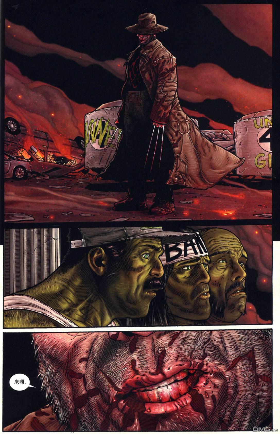 老兵不死,只是慢慢凋零——《暮狼寻乡》