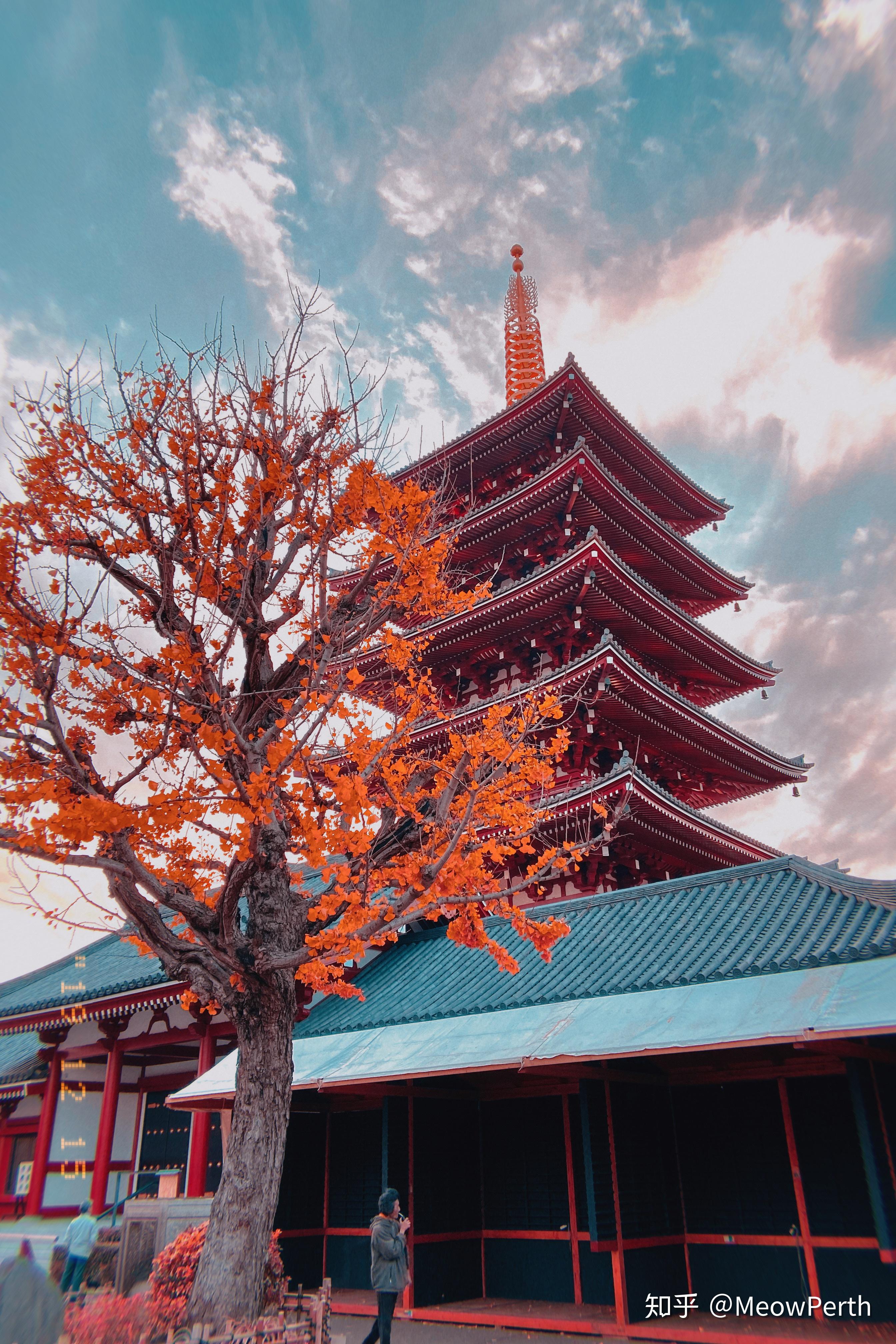 想看一下东京的景色各位知友能不能满足一下