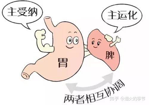 宝宝脾胃不好有哪些表现该怎么办