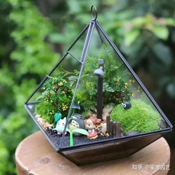 家博园艺 | 室内微景观上新 - 知乎