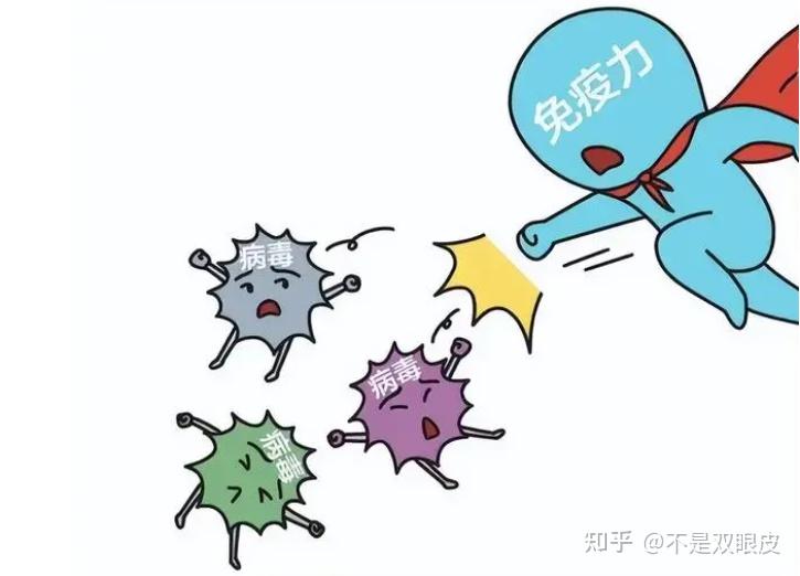 免疫力下降的5个信号,你注意到了吗? - 知乎