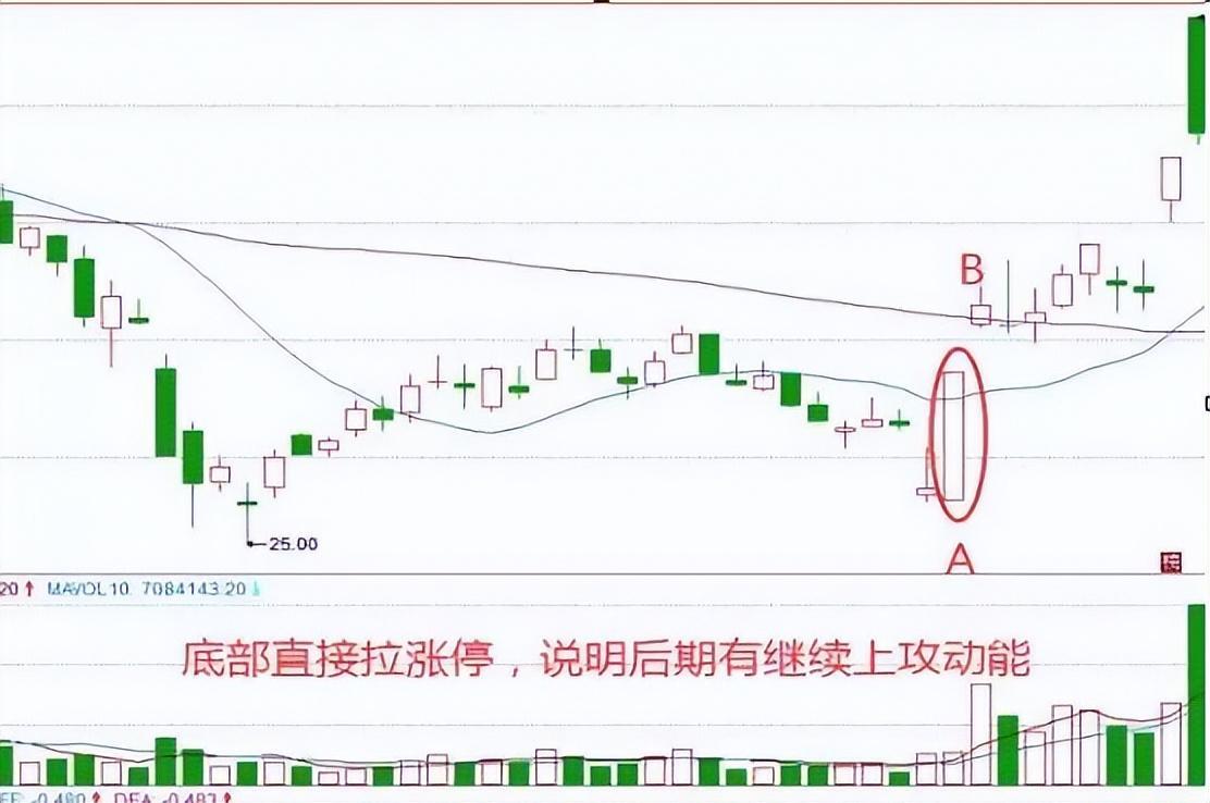 有10万闲钱全买3元左右低价股不理会涨跌一直持有会赚钱吗