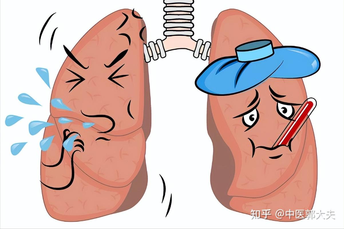 肺寒则咳 肝寒则痛 肾寒则肿?中医教你一招 横扫五脏寒气 - 知乎