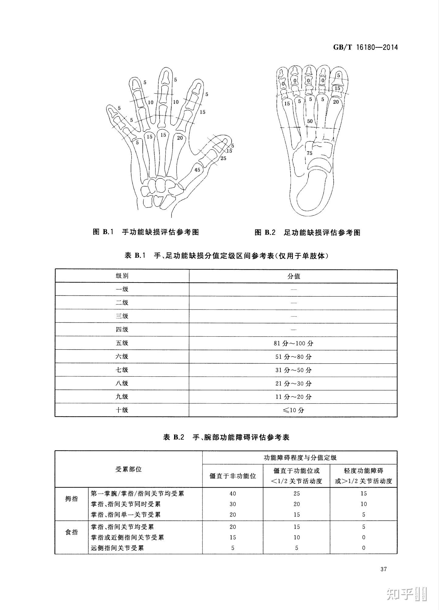 脚趾十级伤残图标准图片