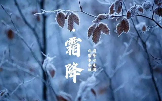 论天癸及白露,从癸生于寅,死于申说起 - 知乎