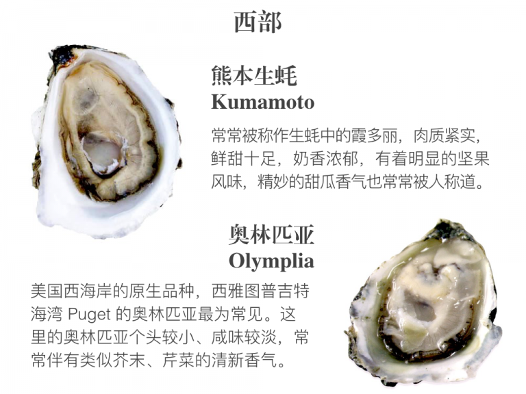 吃懂生蚝你只缺这篇终极指南