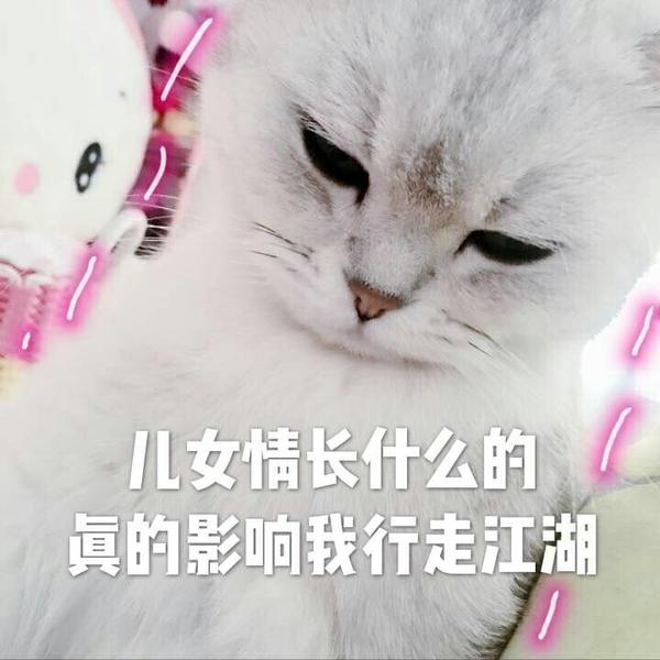 (没劈腿没移情别恋就是真的突然没感觉了) 形容一下就是单身久了出来