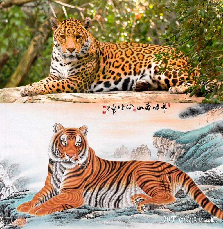 优享资讯 有哪些常被认错的动物