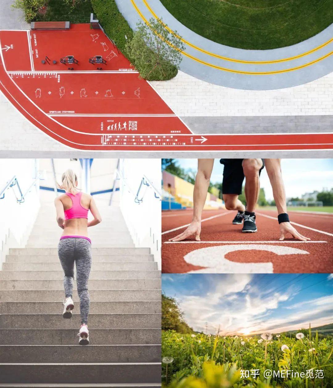 不看后悔(深圳国际花展时间)深圳园博园国庆花展,(图24) 不看后悔(深圳国际花展时间)深圳园博园国庆花展,(图24)