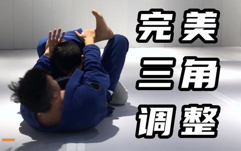 巴西柔术中有多少降服技术? - 知乎