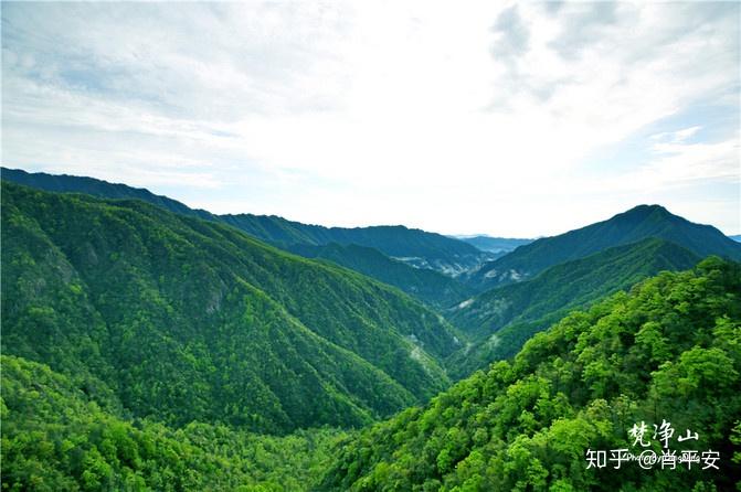 梵净山升仙之山,超越时空的净地,世间难得的一方净土-仙气飘飘的梵净山叫什么