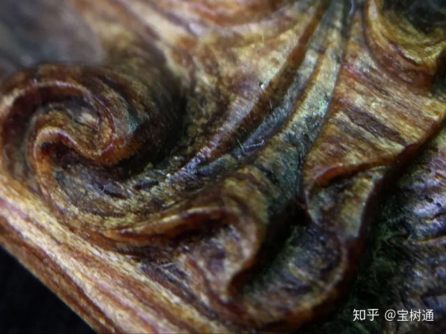 广东宝树通：世界最贵的香，日本叫“伽罗”，中国叫“奇楠”！ - 知乎