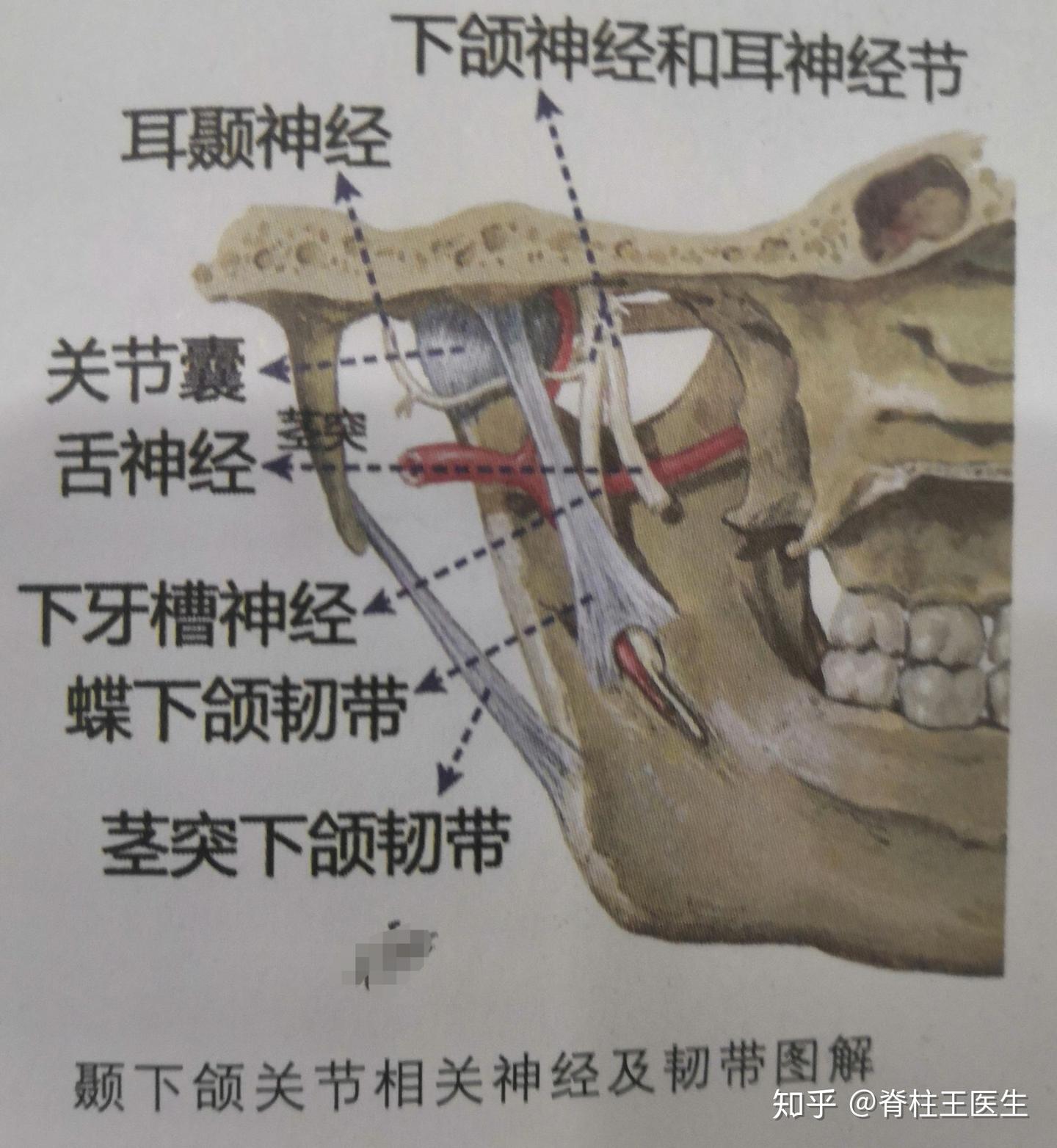 《颞下颌关节炎》冲击波治疗新思路 - 知乎