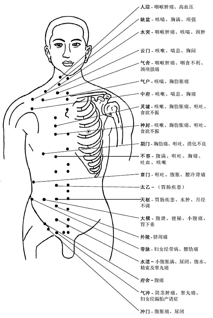 裡內關穴,胸腹中妙決;曲池與合谷,頭面病可徹;腰背痛相連,殷門崑崙穴